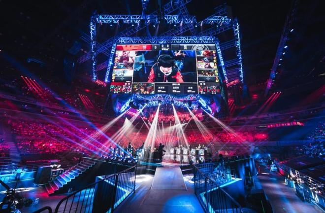 供了支持 供了支持