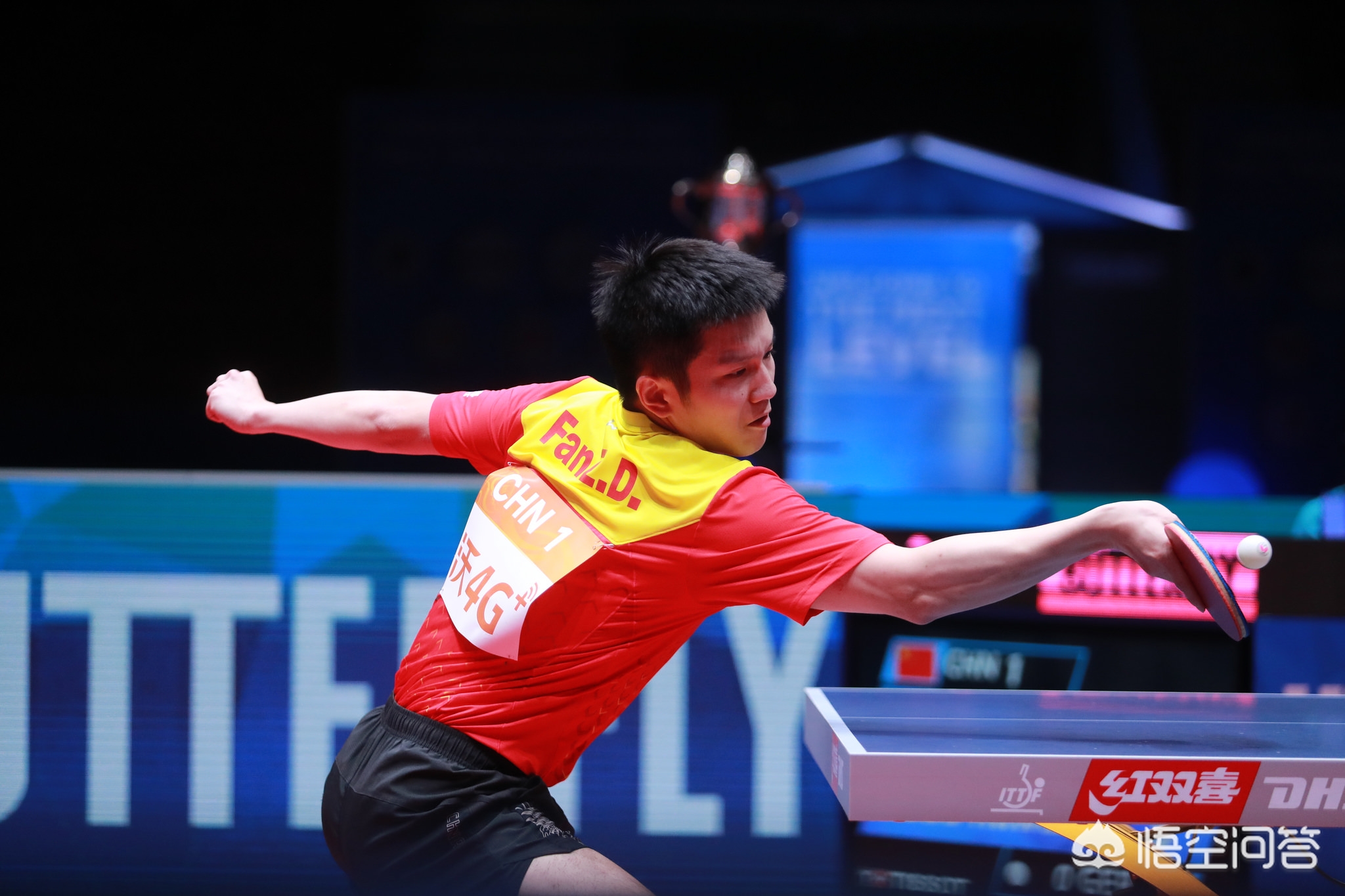 聚焦在了将 聚焦在了将